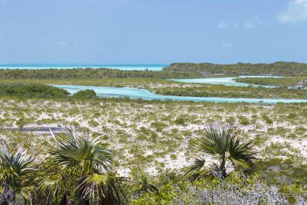 Bahamas, Exuma Island Shroud Cay scenic